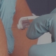 Vaccination - Bernard & Brassard